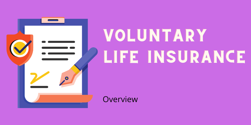 What is Voluntary Life Insurance? - Overview